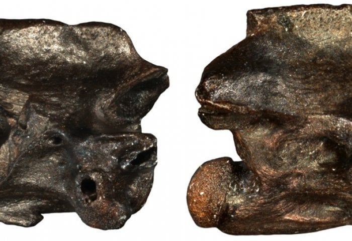 Δύο φίδια 6 εκατομμυρίων ετών εντοπίστηκαν στην Ελλάδα (pics)