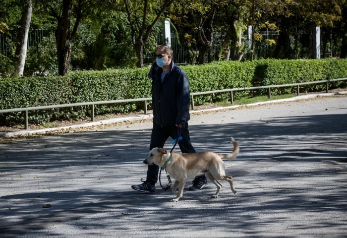 βόλτα με σκύλο