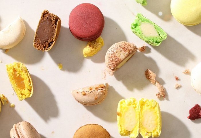 ourse2.jpg ourse2.jpg