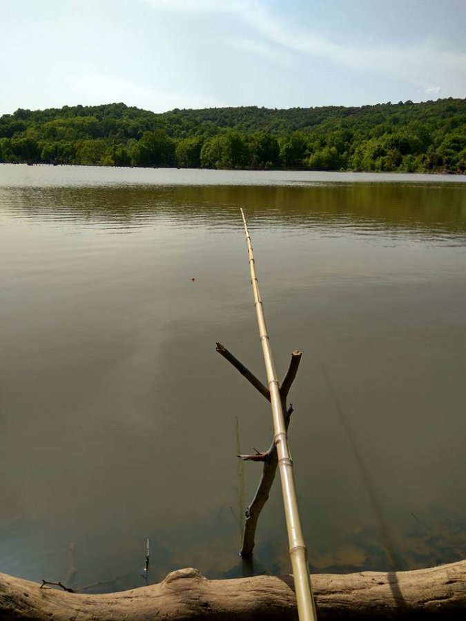 18198429_1298137230262516_2979929809762525468_n.jpg 18198429_1298137230262516_2979929809762525468_n.jpg