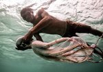 Ζουν μέσα στο νερό: Οι γενετικά μεταλλαγμένοι «τσιγγάνοι της θάλασσας» είναι ένα αληθινό φαινόμενο