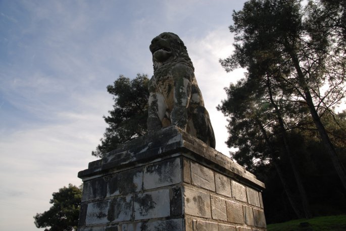 dsc_0180.jpg dsc_0180.jpg