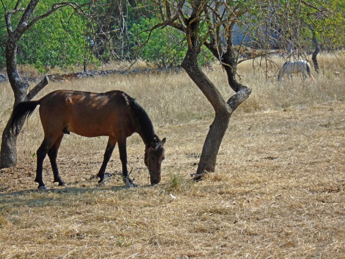 therismos_3.jpg therismos_3.jpg