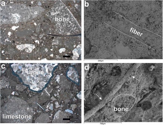 mpeton-5.jpg mpeton-5.jpg