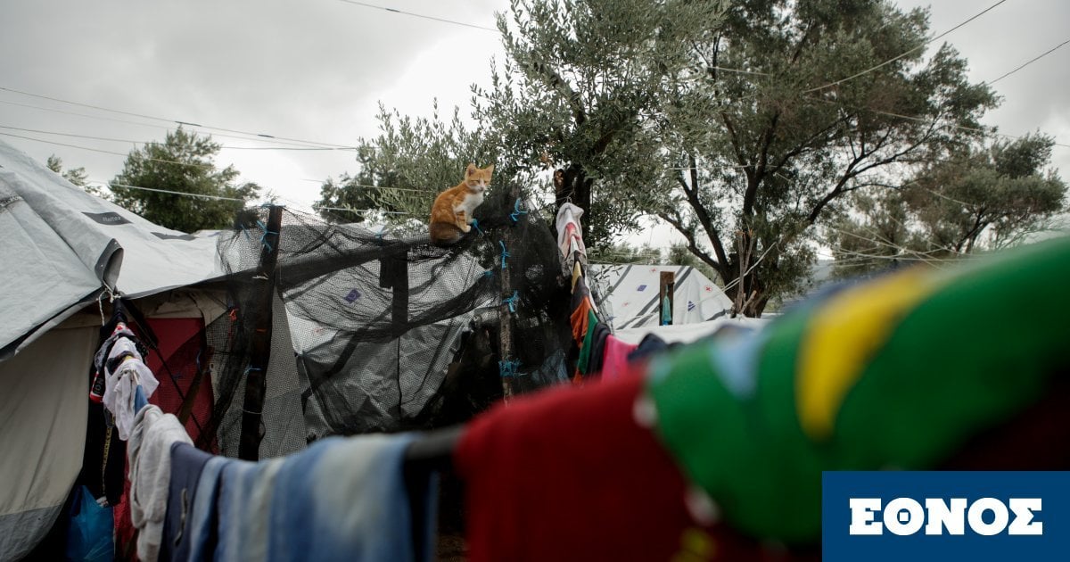 4917831.jpg?itok=0O2wBINT