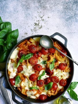 hylopites.jpg hylopites.jpg