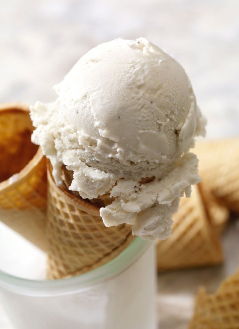 frozen_yogurt_basic.jpg frozen_yogurt_basic.jpg