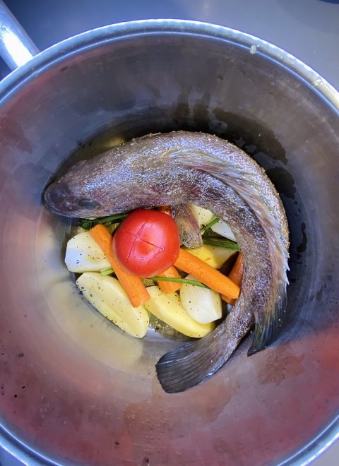 img_6320.jpeg img_6320.jpeg